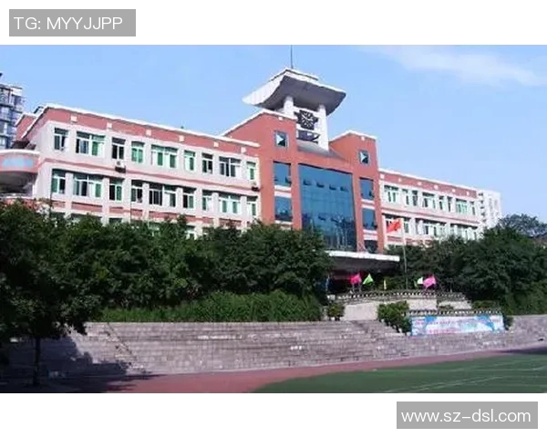 重庆乒乓球队防反战术解析与热点动态深度剖析