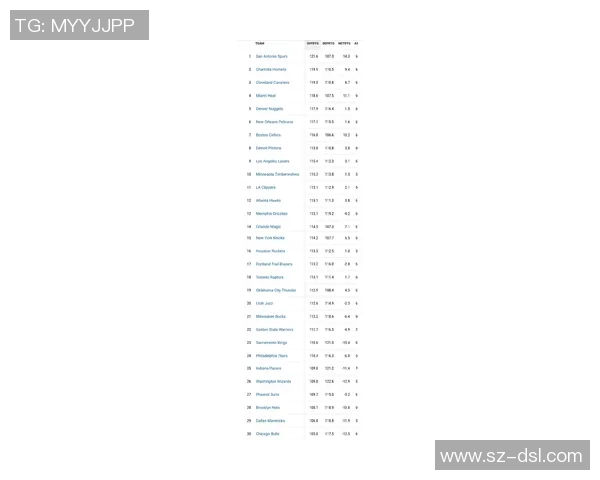 湖人对阵篮网比赛统计分析及球员表现评估